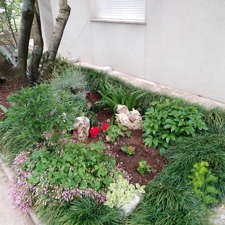 Jadranka Apartamento *