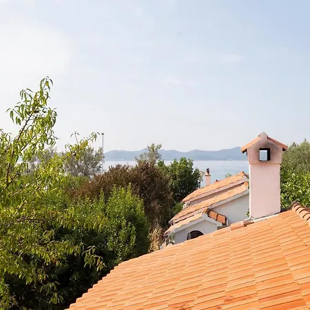 Jadranka Zadar