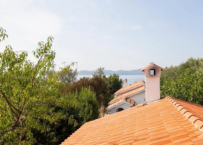 Jadranka Zadar